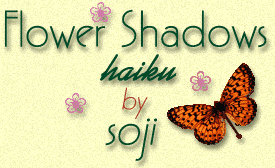 haiku banner